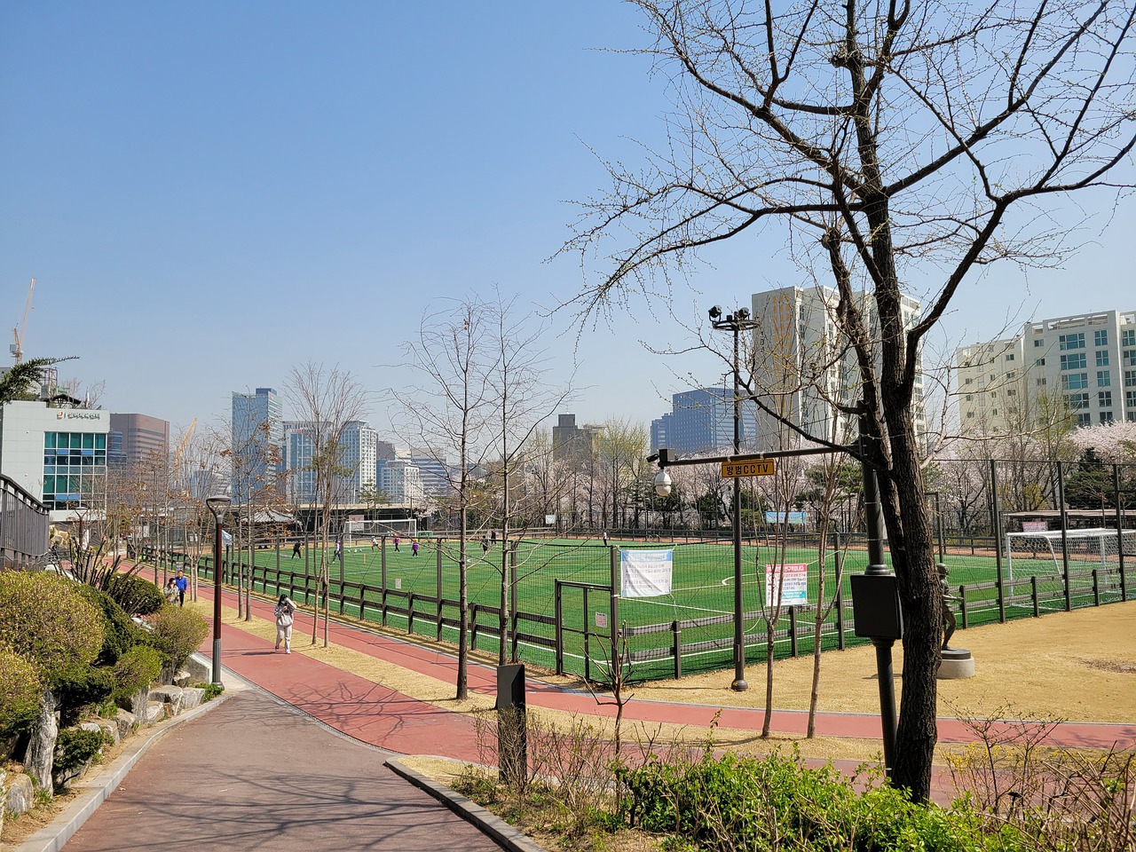 尖对麦芒的 尖对麦芒的