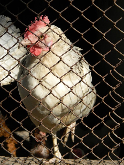 更可能造成 更可能造成