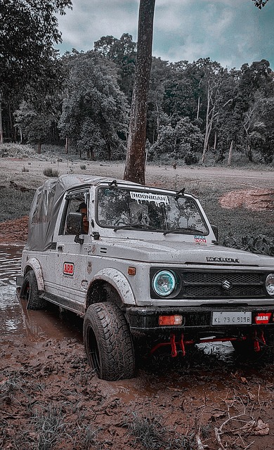 在泰国联赛 在泰国联赛